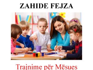 Kopertina Arsimi gjitheperfshires per nxenesit me nevoja te vecanta Trajnime per Mesues Zahide Fejza.jpg